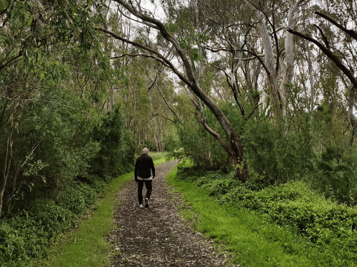Man walking outside down dirt path surrounded by green grass and trees