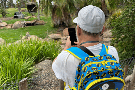 Man taking a photo at the zoo with mobile phone