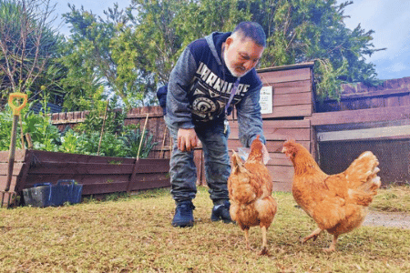 Disabled man feeding two chickens in backyard