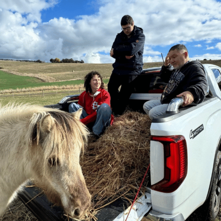 Two men and a woman giving hay to a horse