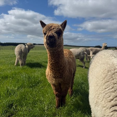 PHOTO-2025-09-05-15-17-00 2